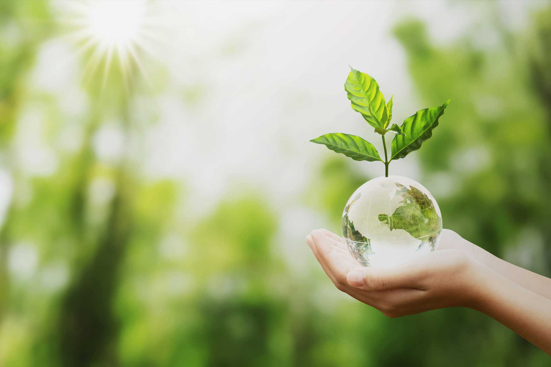 Safety Objectives of the company